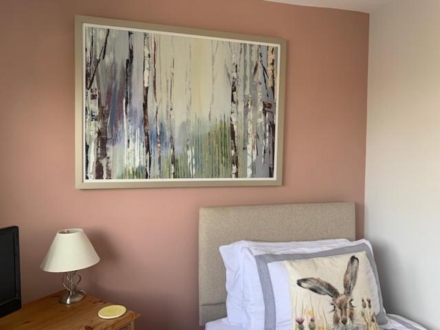 The Firs At Hay-On-Wye B&B 외부 사진