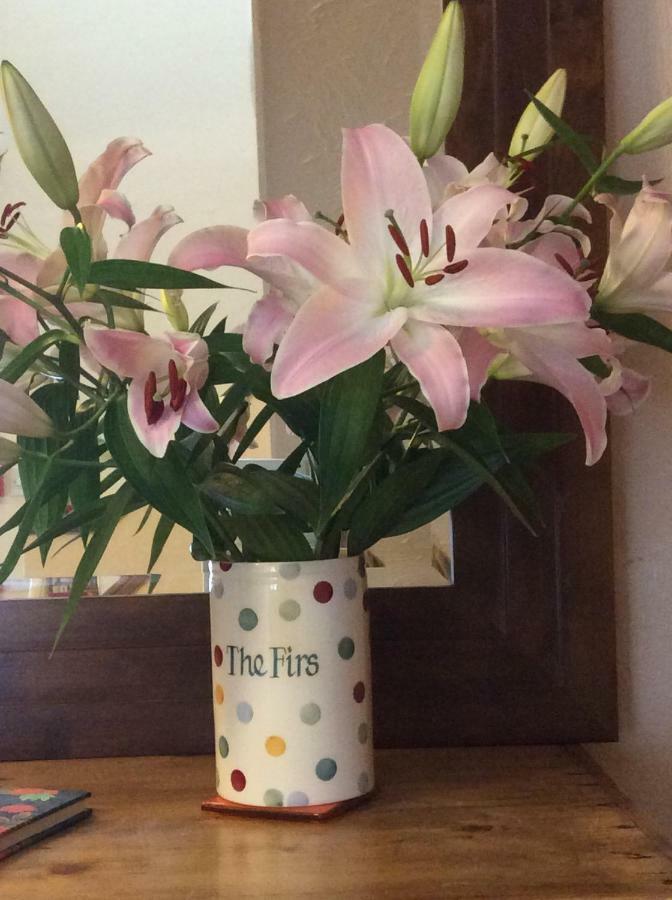 The Firs At Hay-On-Wye B&B 외부 사진